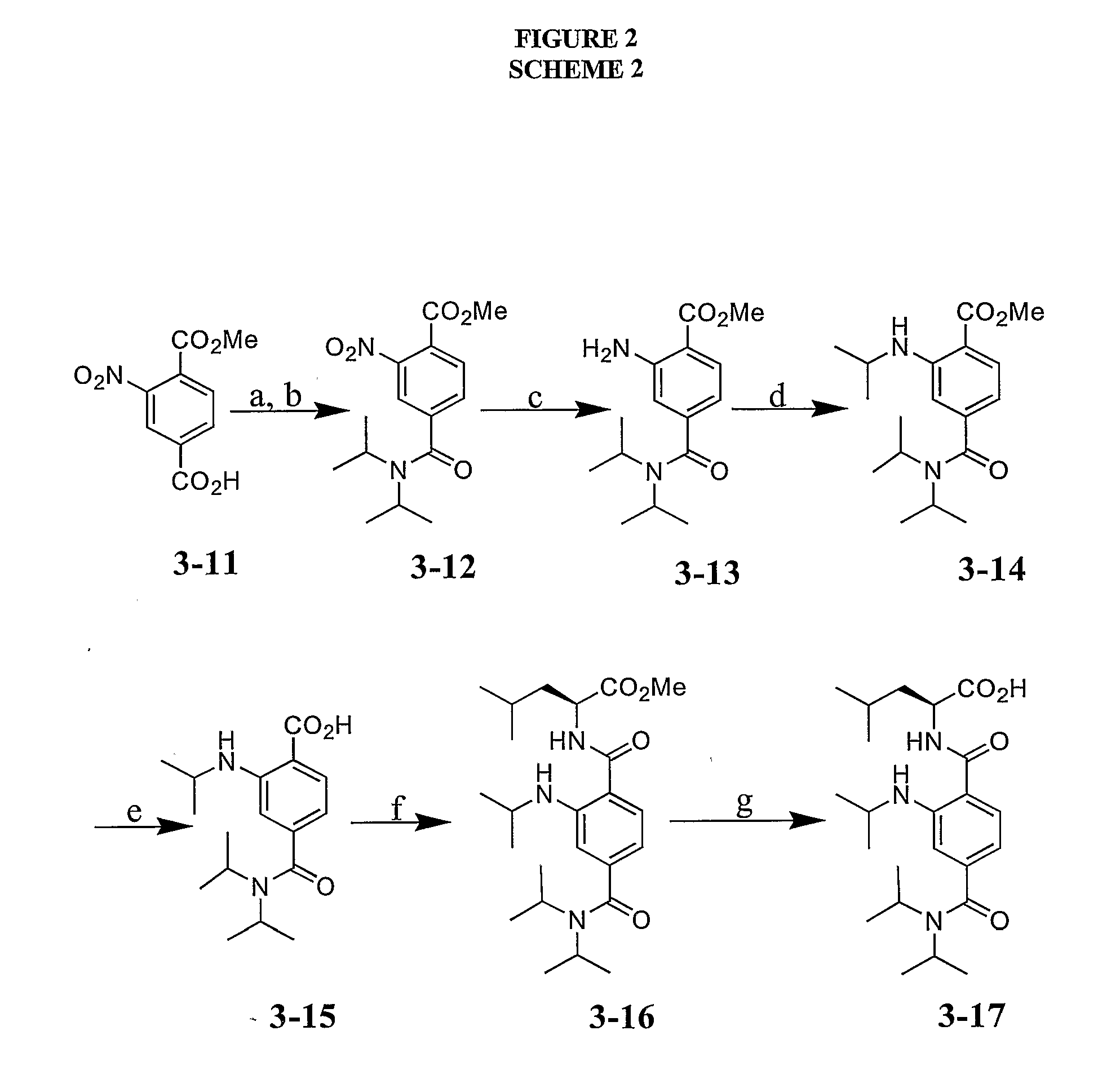 Terephthalamide peptidomimetic compounds and methods