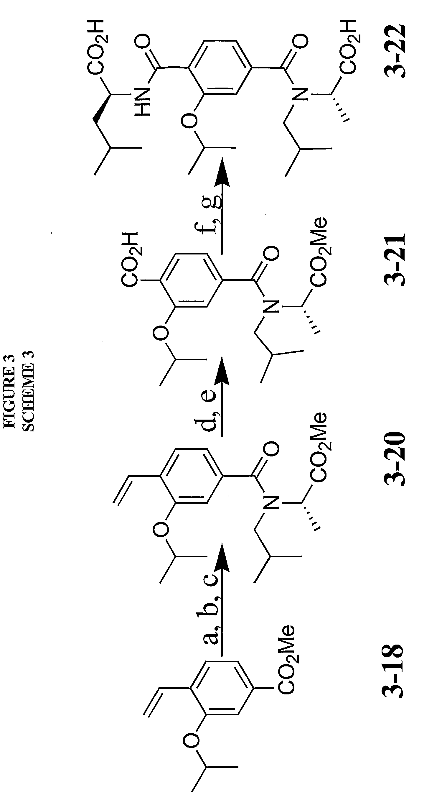 Terephthalamide peptidomimetic compounds and methods