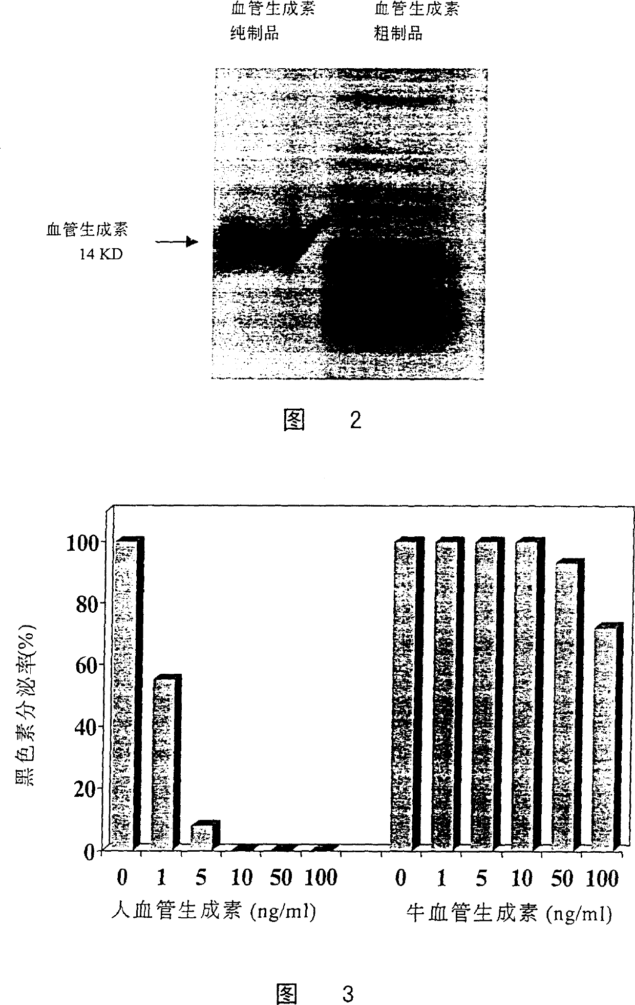 Peparation of human recombined blood-vessel generation element and skin whitening product