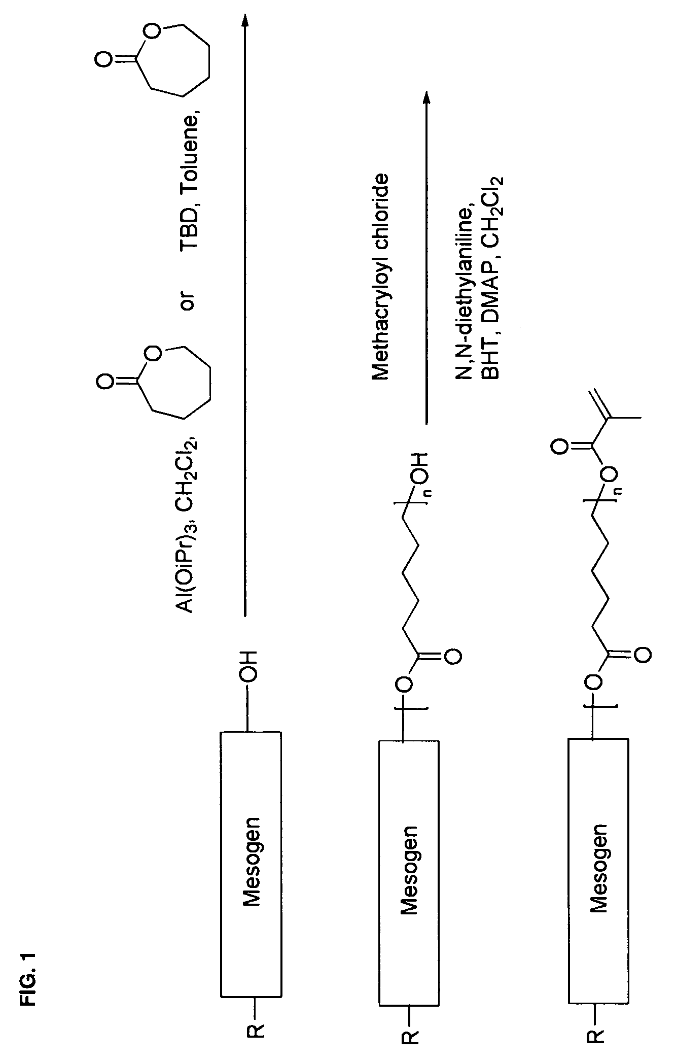 Mesogen containing compounds