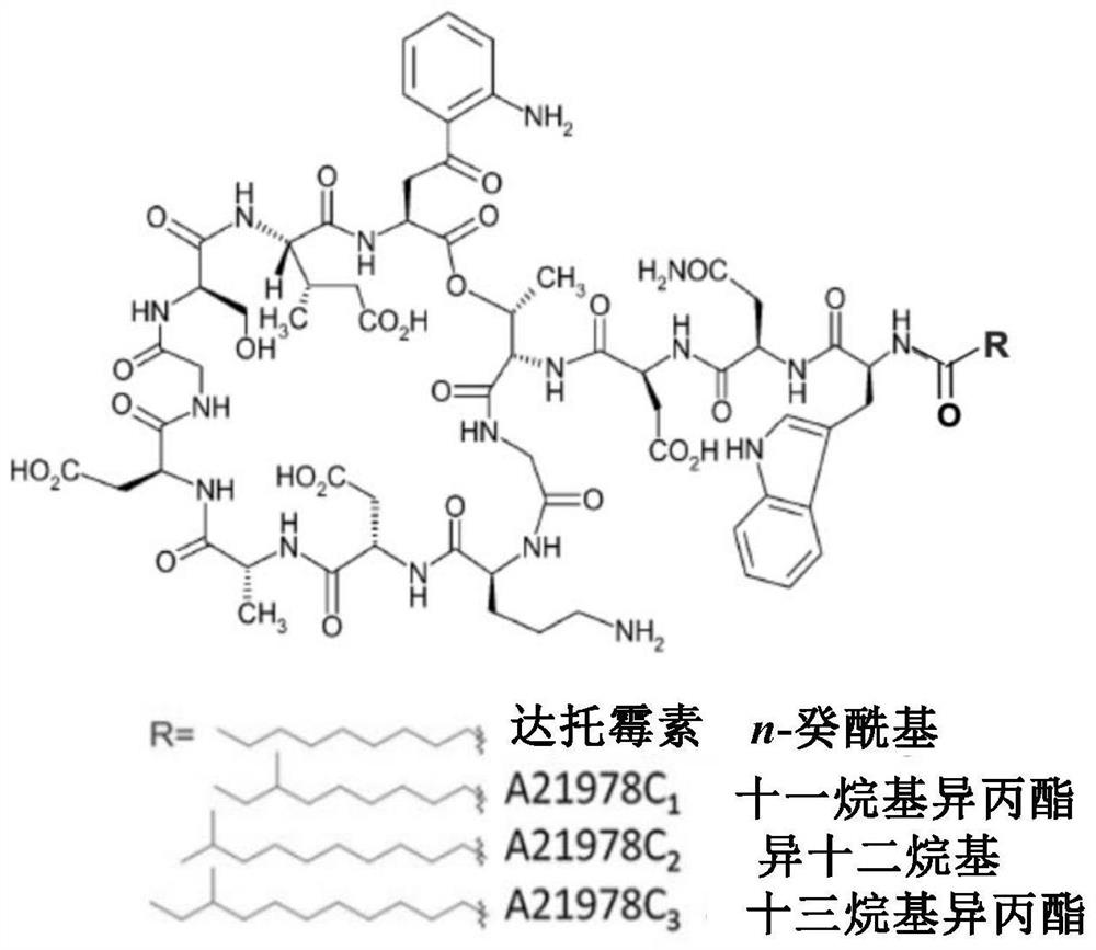 Construction of a dptc1 mutant for daptomycin biosynthesis