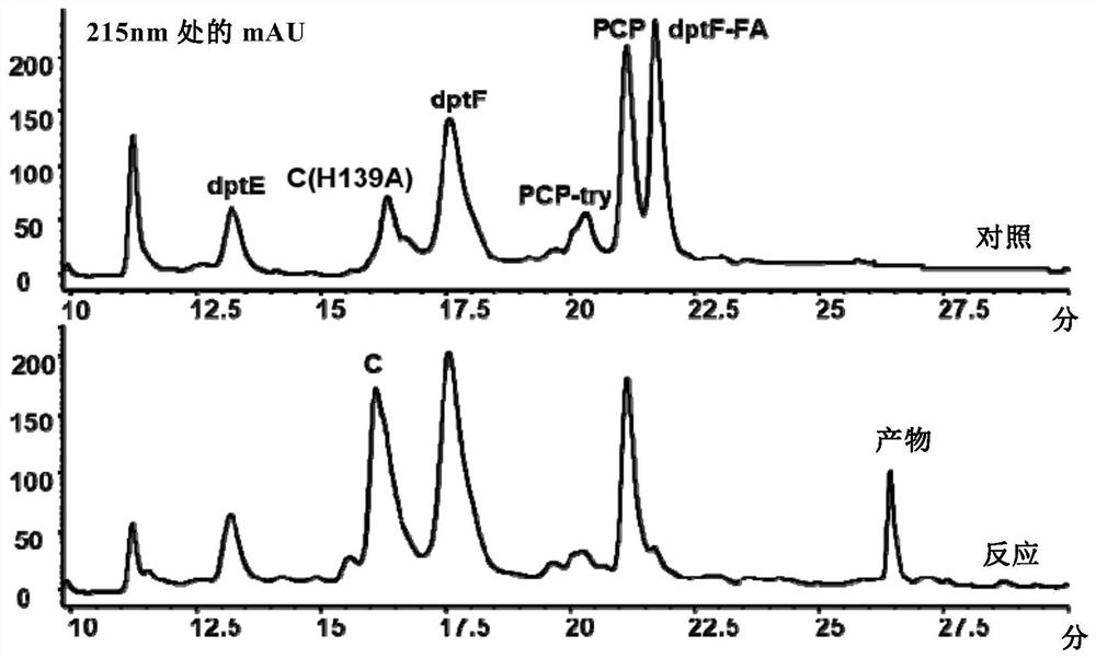 Construction of a dptc1 mutant for daptomycin biosynthesis