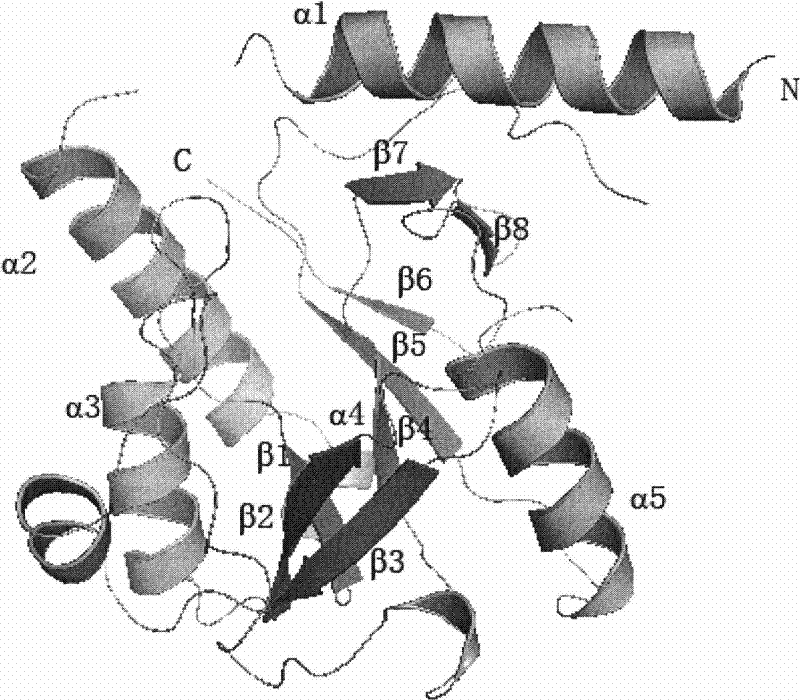 Human 5,10-methenyltetrahydrofolate and its compound crystallization methods, crystals and application thereof