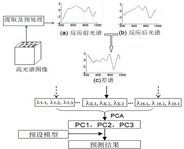 Signal characterization method of visual array sensor