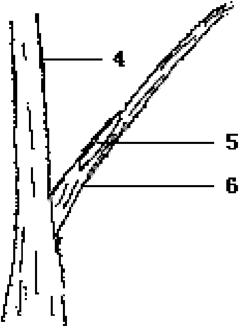Method for grafting long-branch cion of tree
