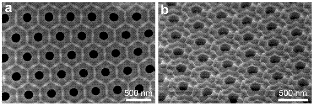 Noble metal ordered nanostructure array and its preparation method and use
