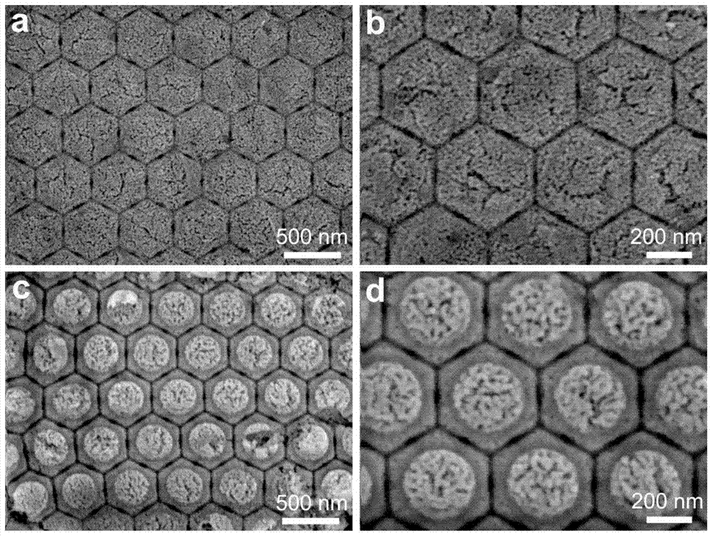 Noble metal ordered nanostructure array and its preparation method and use