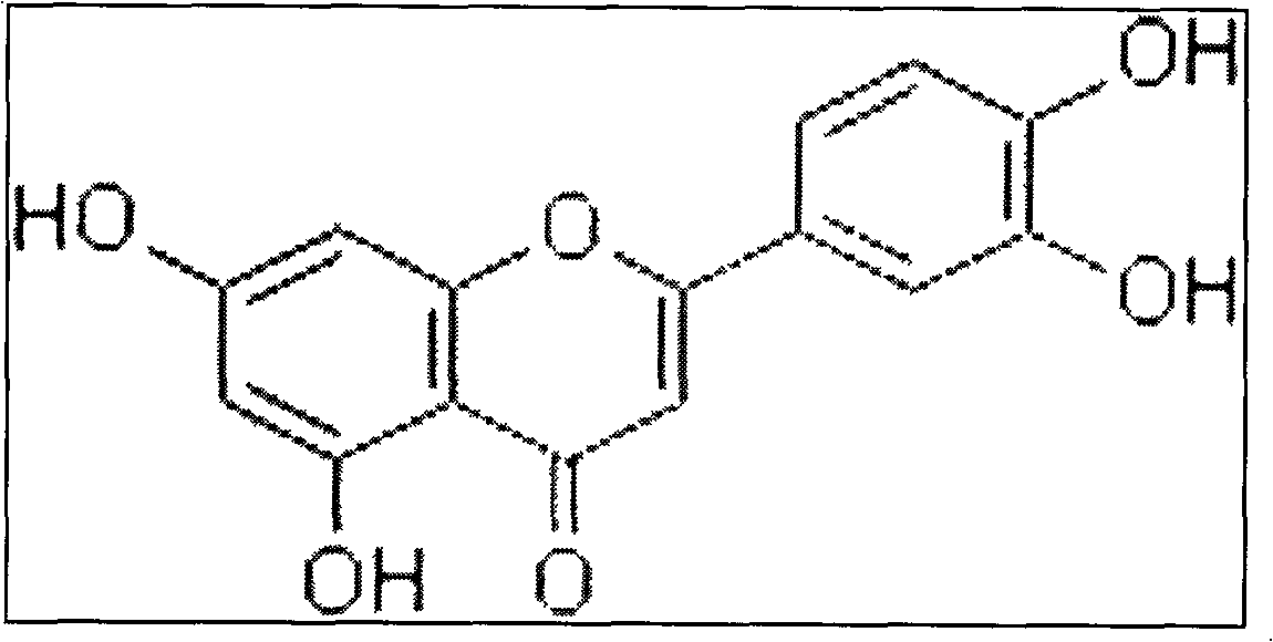 Method for fast extracting luteolin from Lonicera macranthoides