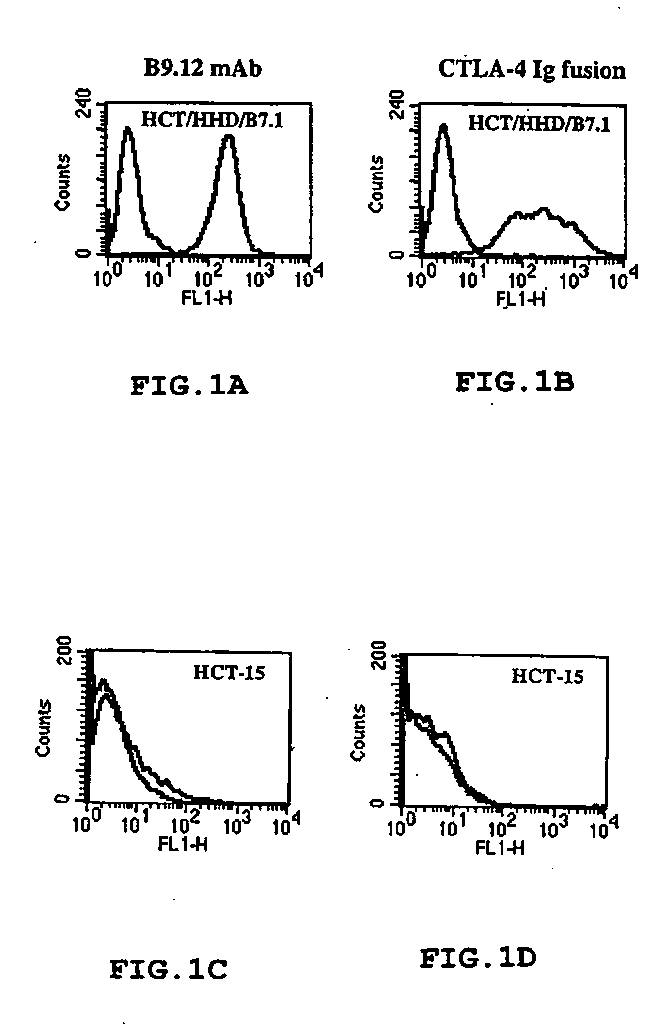 Tumor associated antigen, peptides thereof, and use of same as anti-tumor vaccines