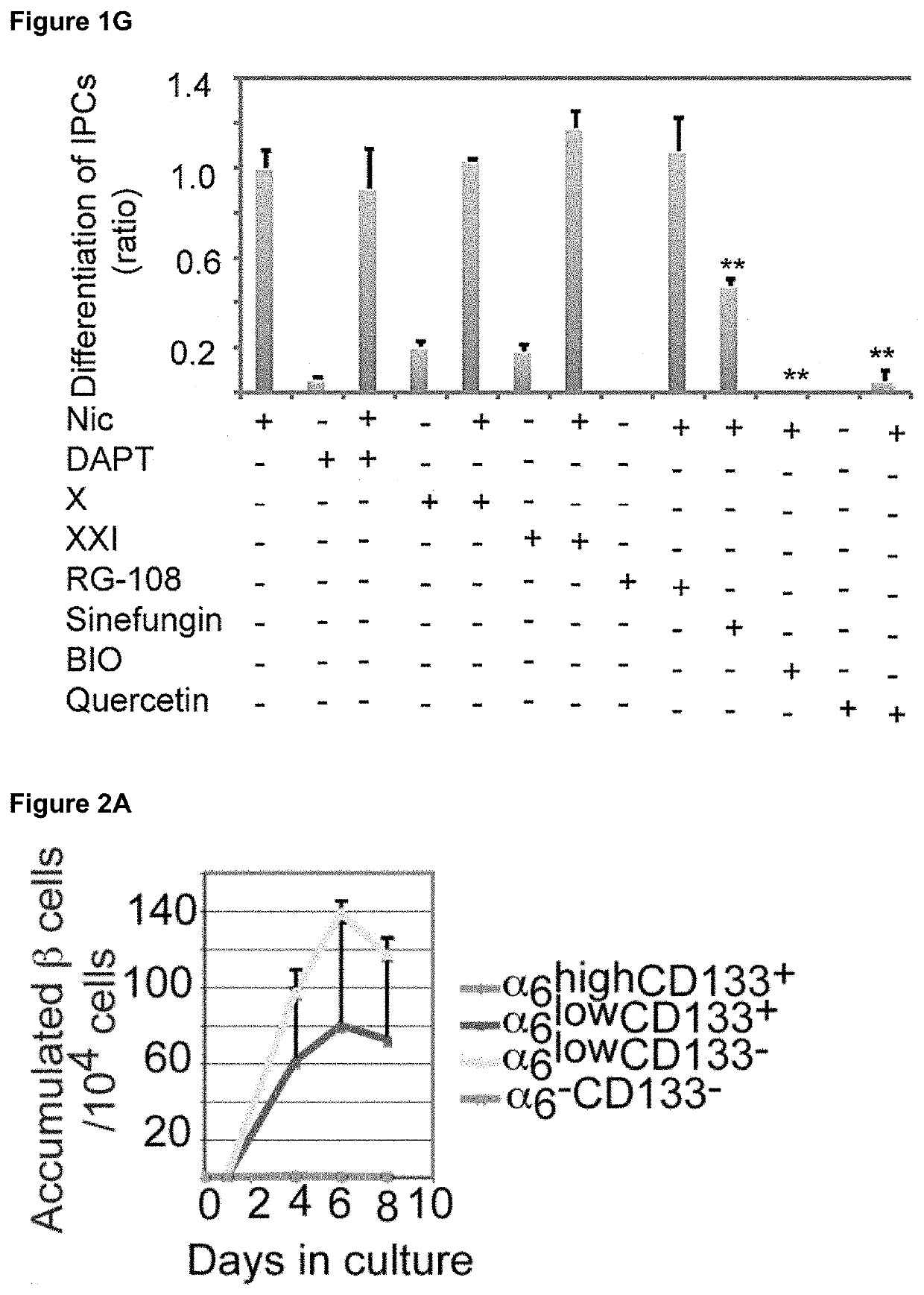 Method for generating mature β-like cells