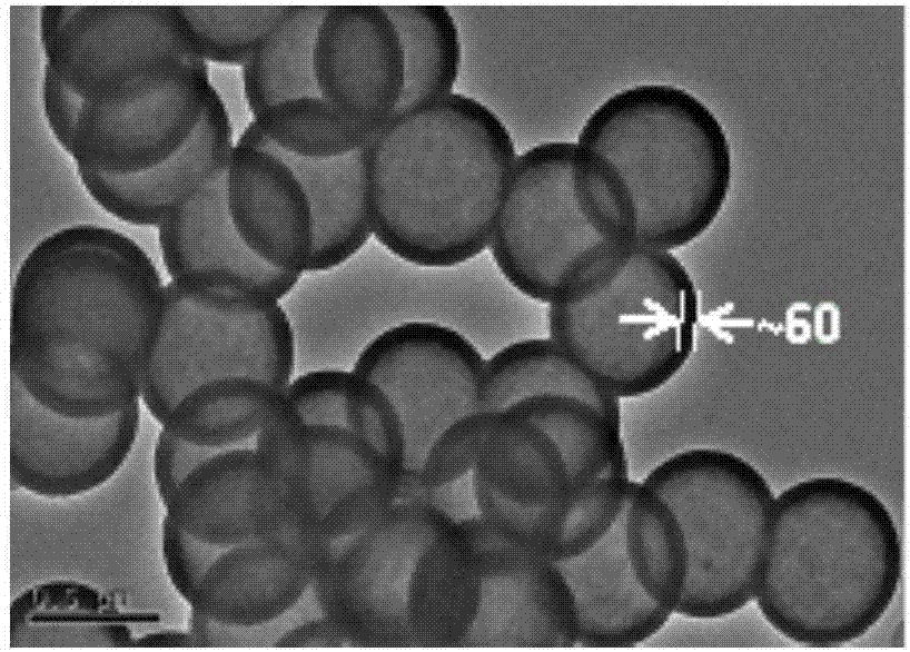 Silicon/lithium titanium dioxide ion battery negative electrode material and preparation method thereof