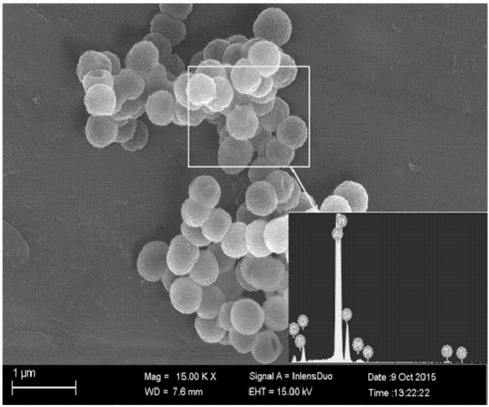 Silicon/lithium titanium dioxide ion battery negative electrode material and preparation method thereof