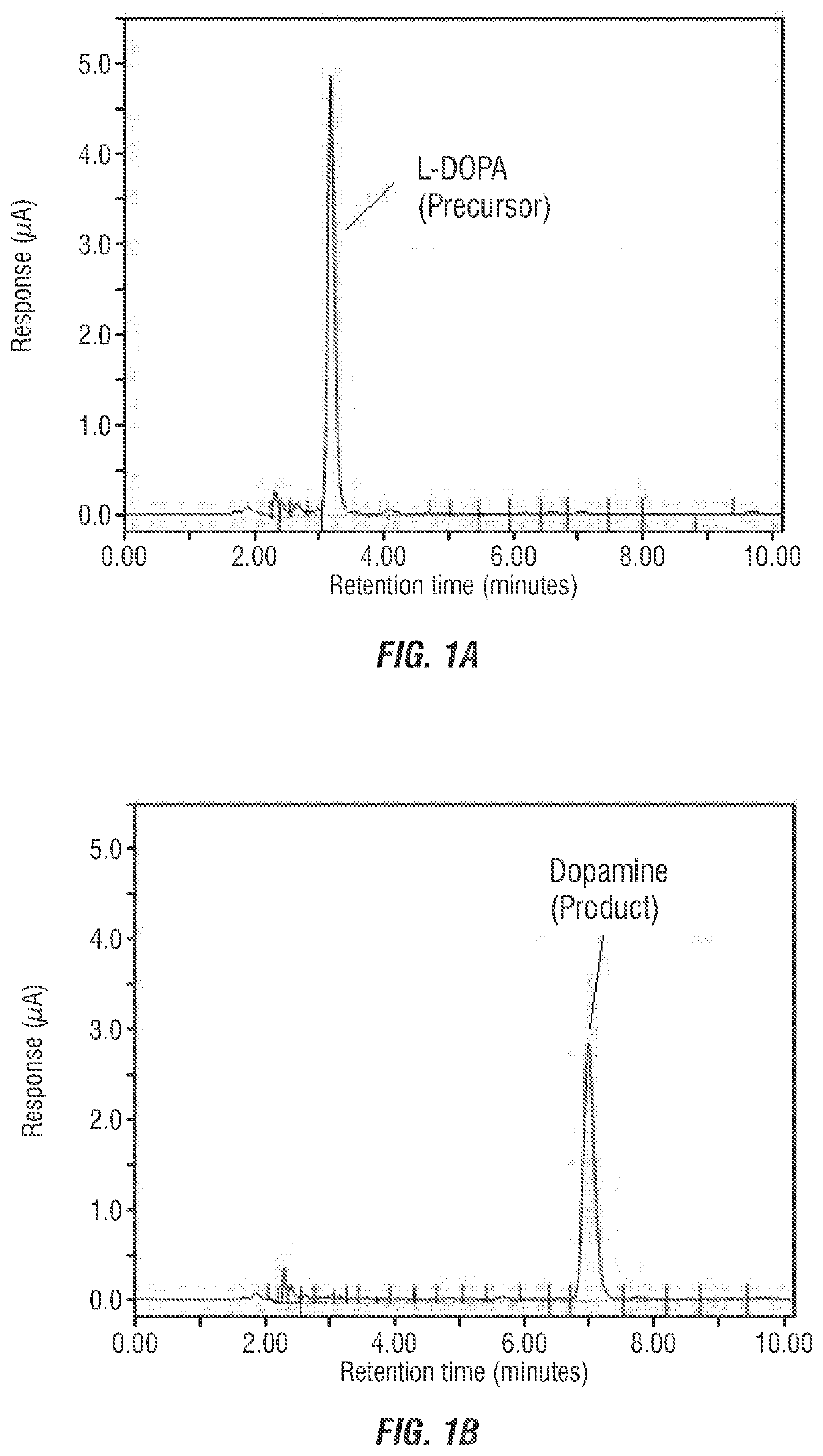 Probiotic compositions for production of dopamine