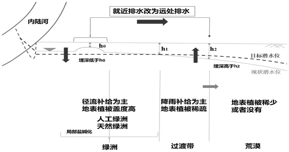 Underground water level regulation and control method for synergistically relieving desertification and secondary salinization of arid area