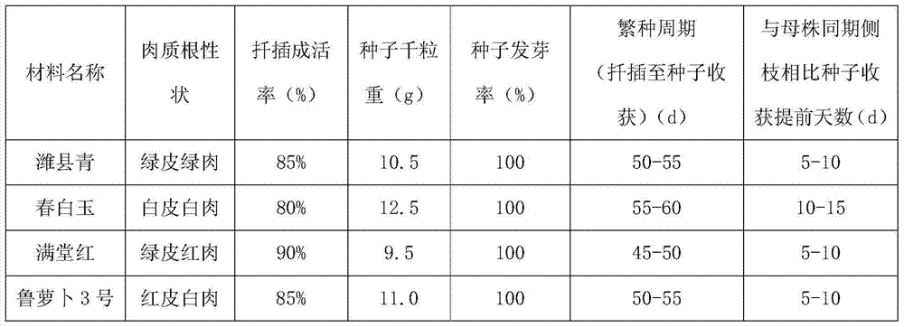 Method for improving lateral branch rooting survival rate and seed reproduction quality of radish
