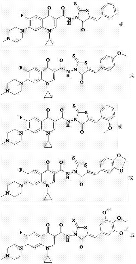 N-methyl ciprofloxacin (rhodanine unsaturated ketone) amide derivative and preparation method and application thereof