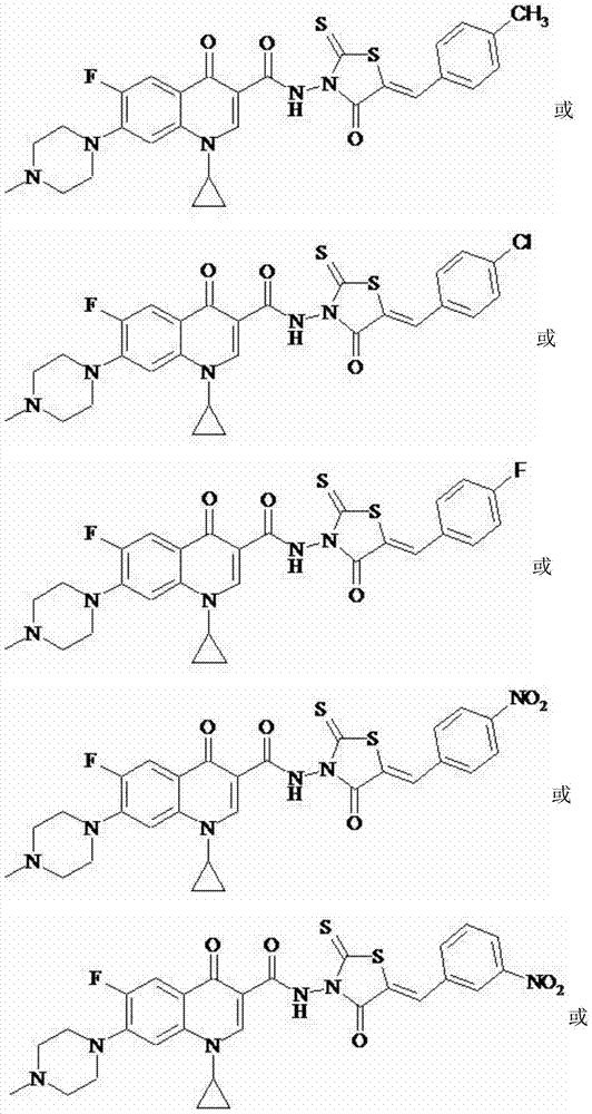 N-methyl ciprofloxacin (rhodanine unsaturated ketone) amide derivative and preparation method and application thereof