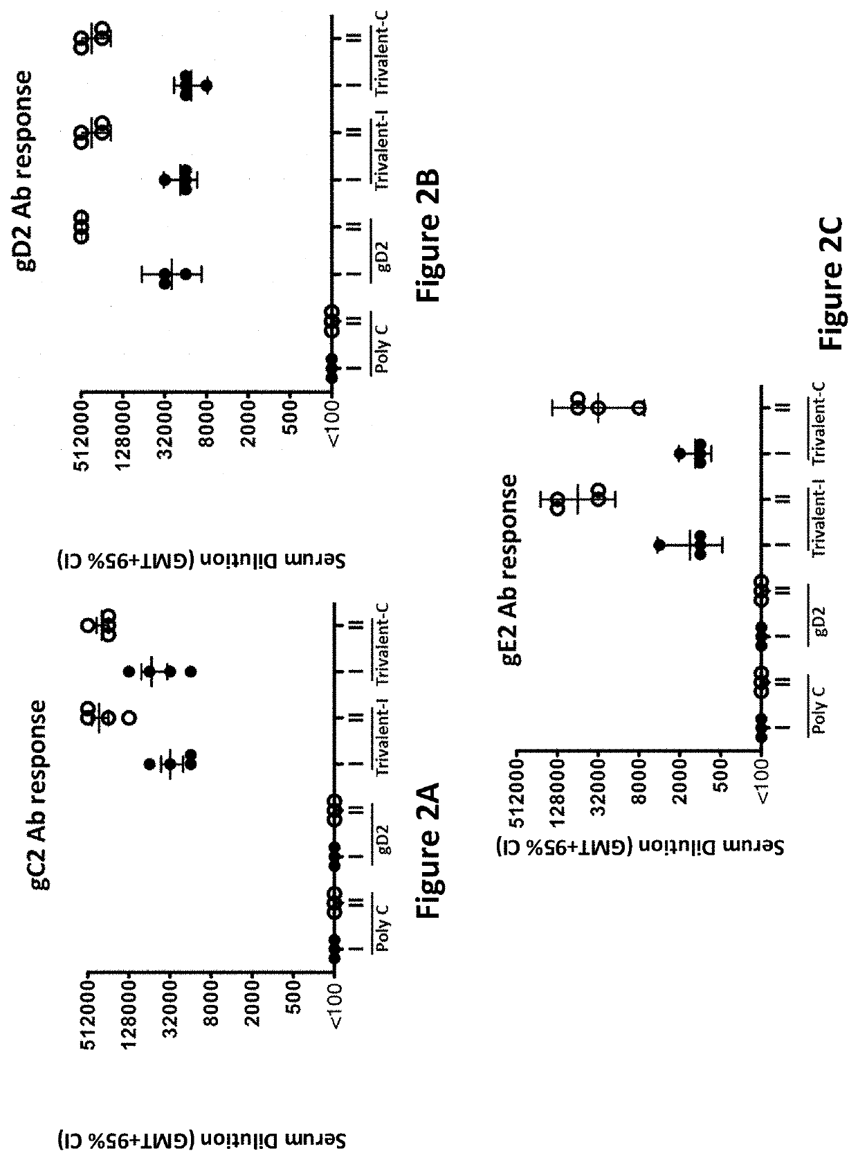 Modified mRNA vaccines encoding herpes simplex virus glycoproteins and uses thereof