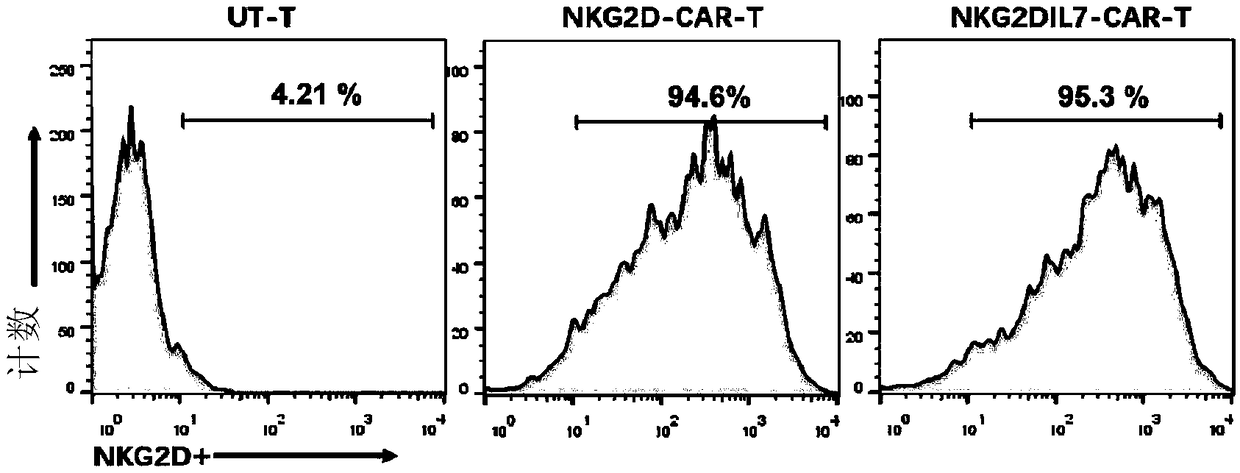 NKG2D-CAR-T (Chimeric Antigen Receptor-T) cell of co-expression cell factor IL-7 and application thereof