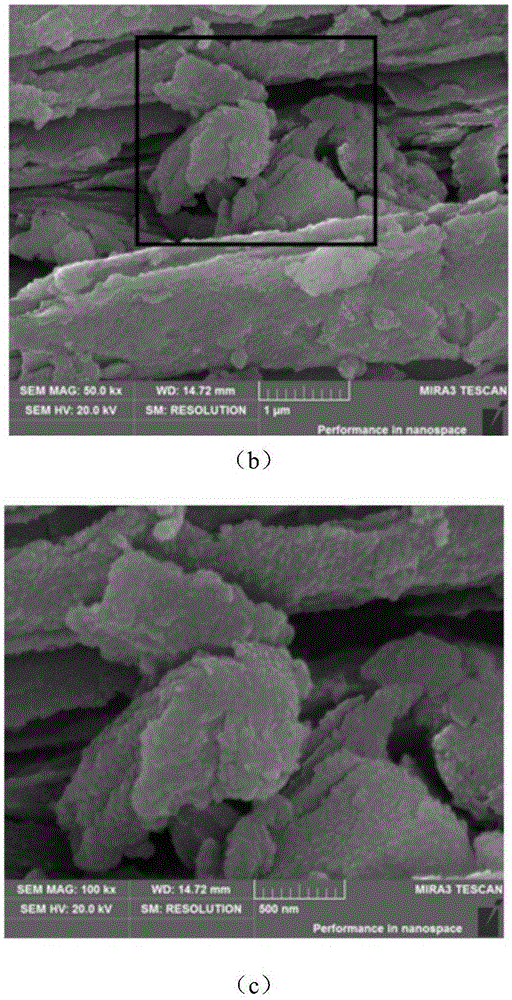 Preparation method and application of polypyrrole-coated carbon fluoride positive electrode material
