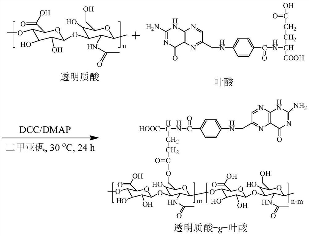 Hyaluronic acid-g-folate amphiphilic polymer and its application