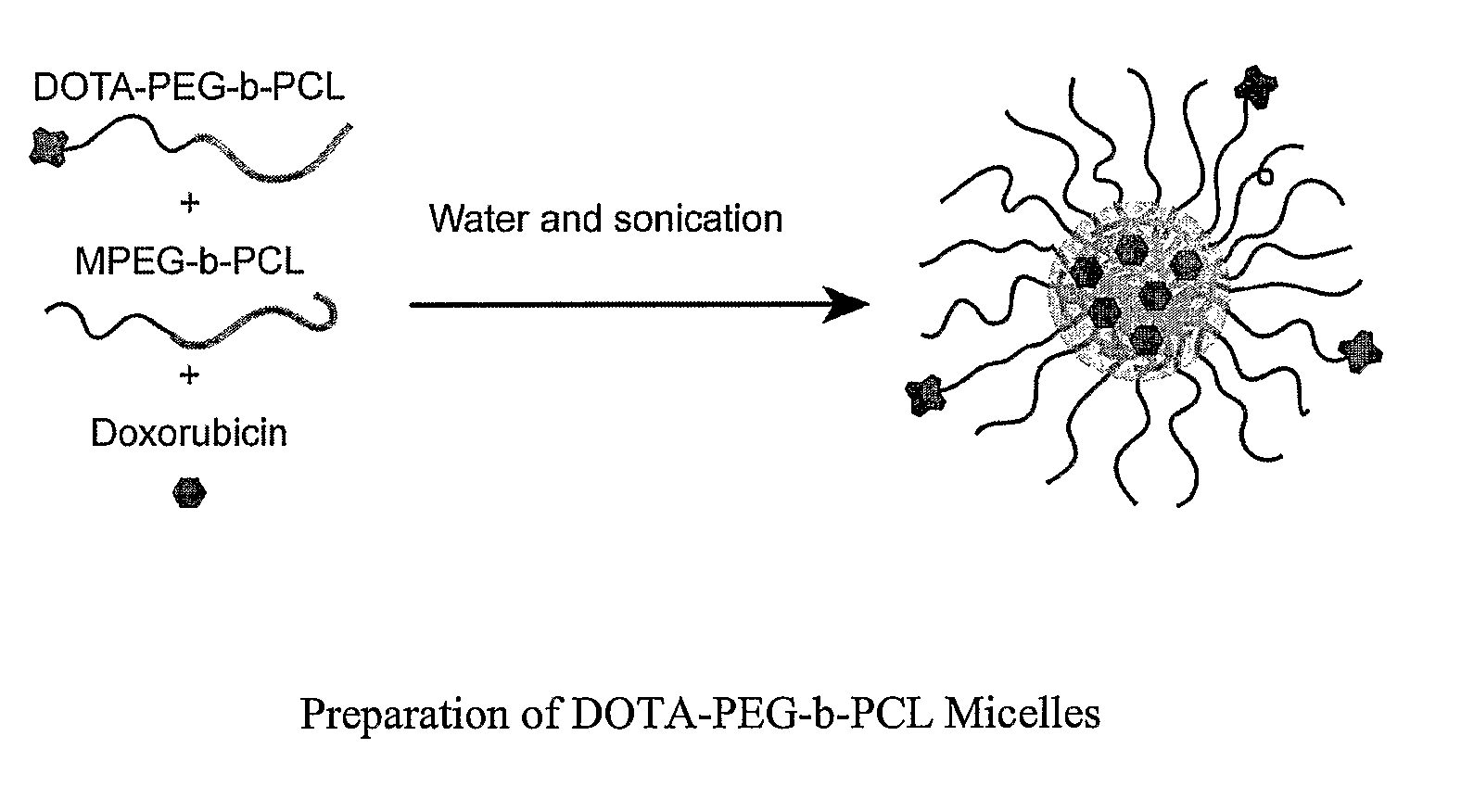 Dual Function Polymer Micelles