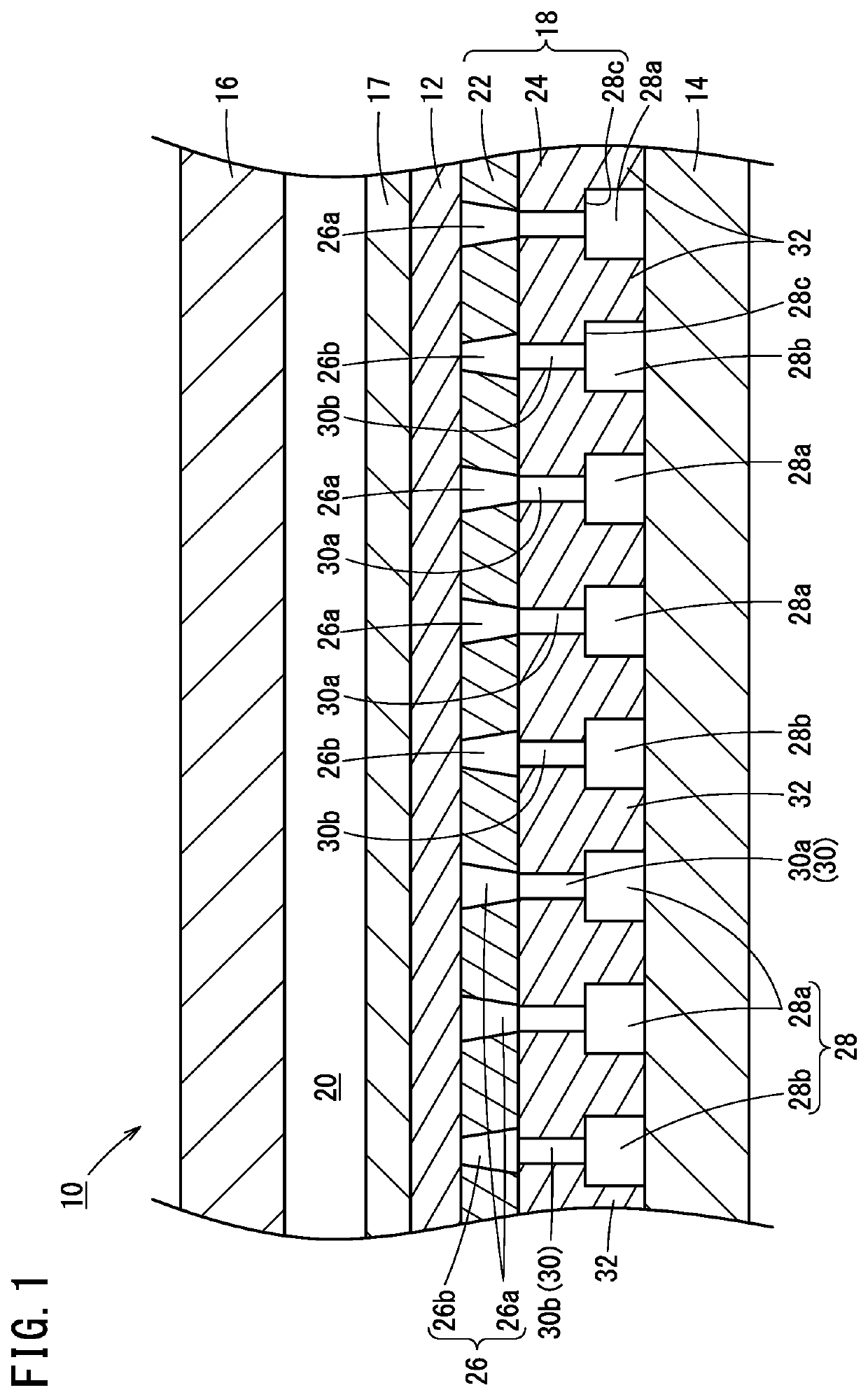 Support member for an electrochemical cell and electrochemical hydrogen compressor