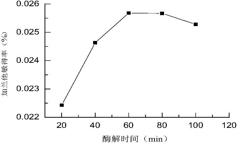 Method for extracting galanthamine from lycoris plant