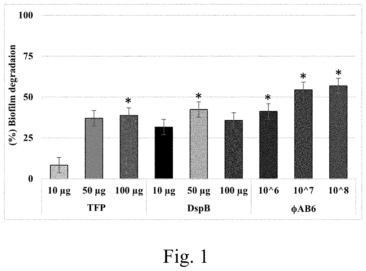 Use of tail fiber protein in the prevention of acinetobacter baumannii infections