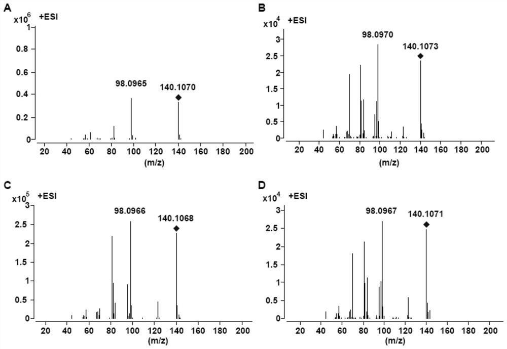 P450 enzyme of anisodus acutangulus and application of P450 enzyme to preparation of tropinone