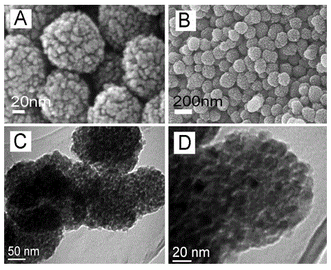 Mesoporous titanium dioxide and preparation method thereof and application thereof