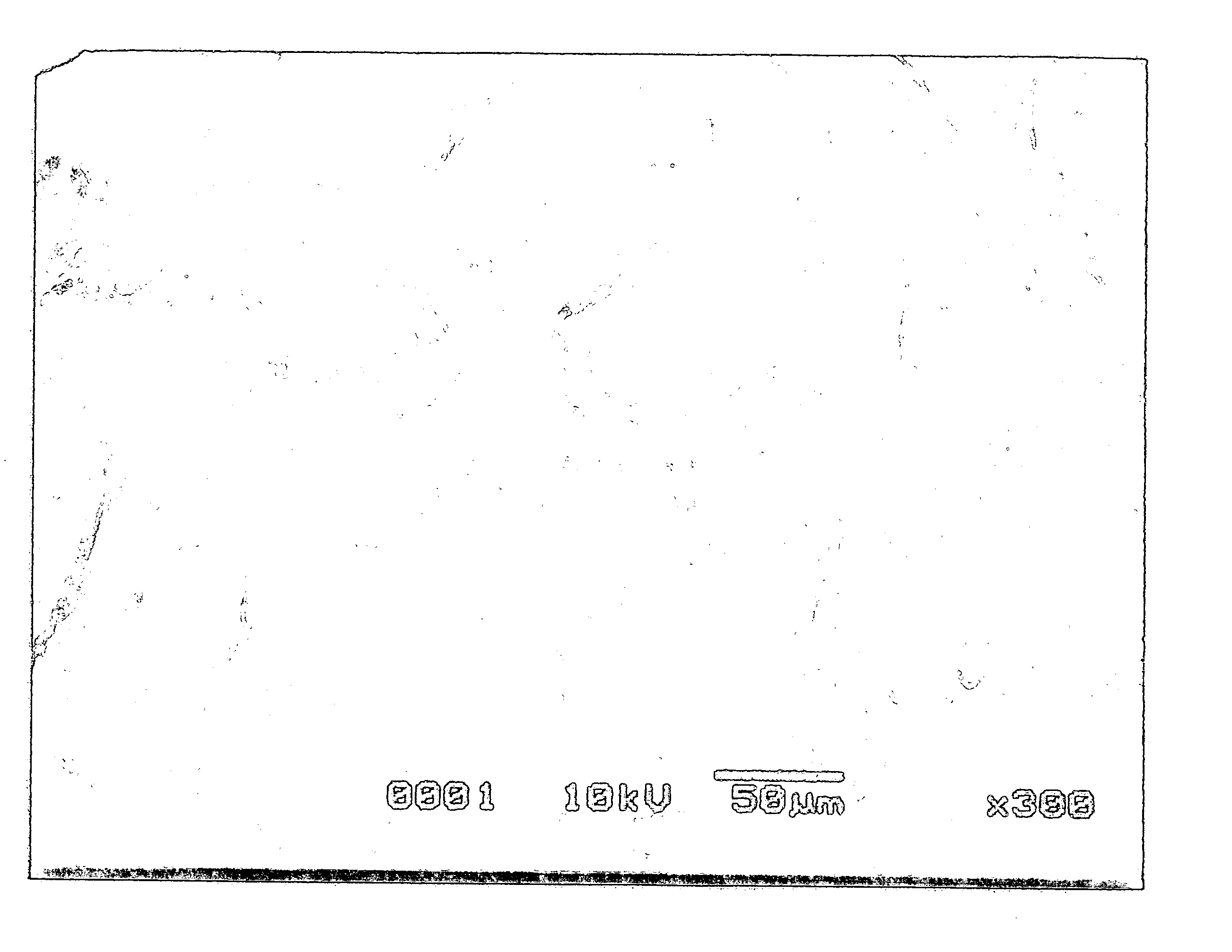 Particles with silver carried and producing method thereof