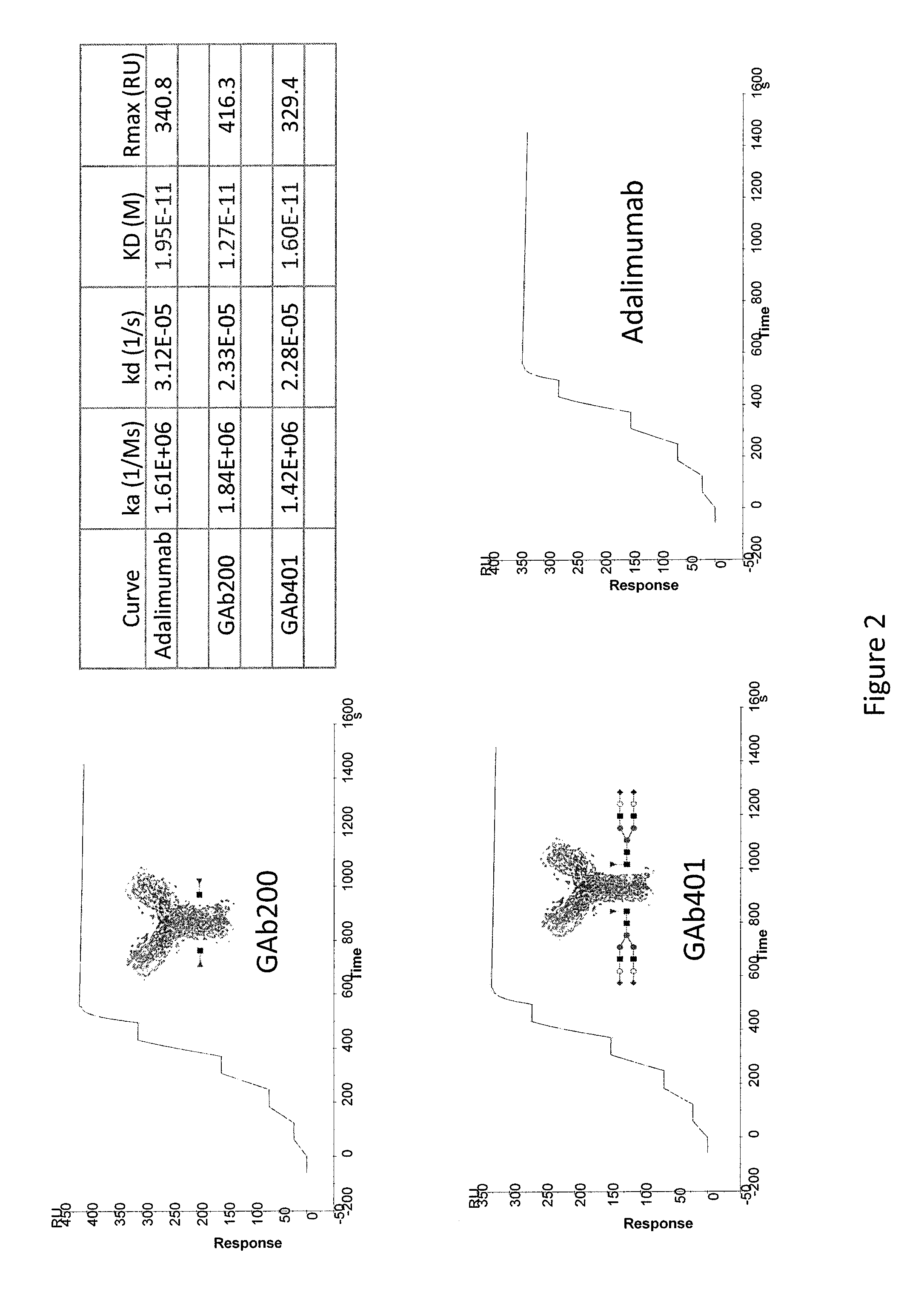 Anti-tnf-alpha glycoantibodies and uses thereof