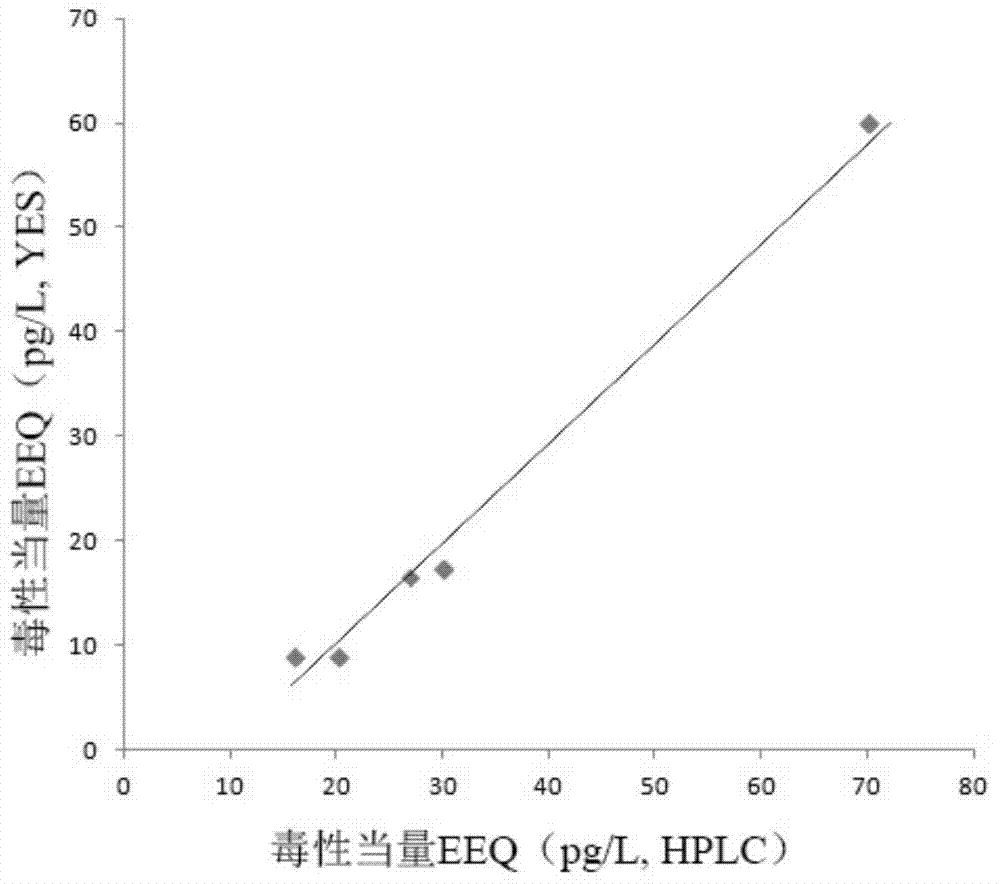 Recombinant estrogen receptor fluorescent two-hybrid yeast as well as preparation method and application