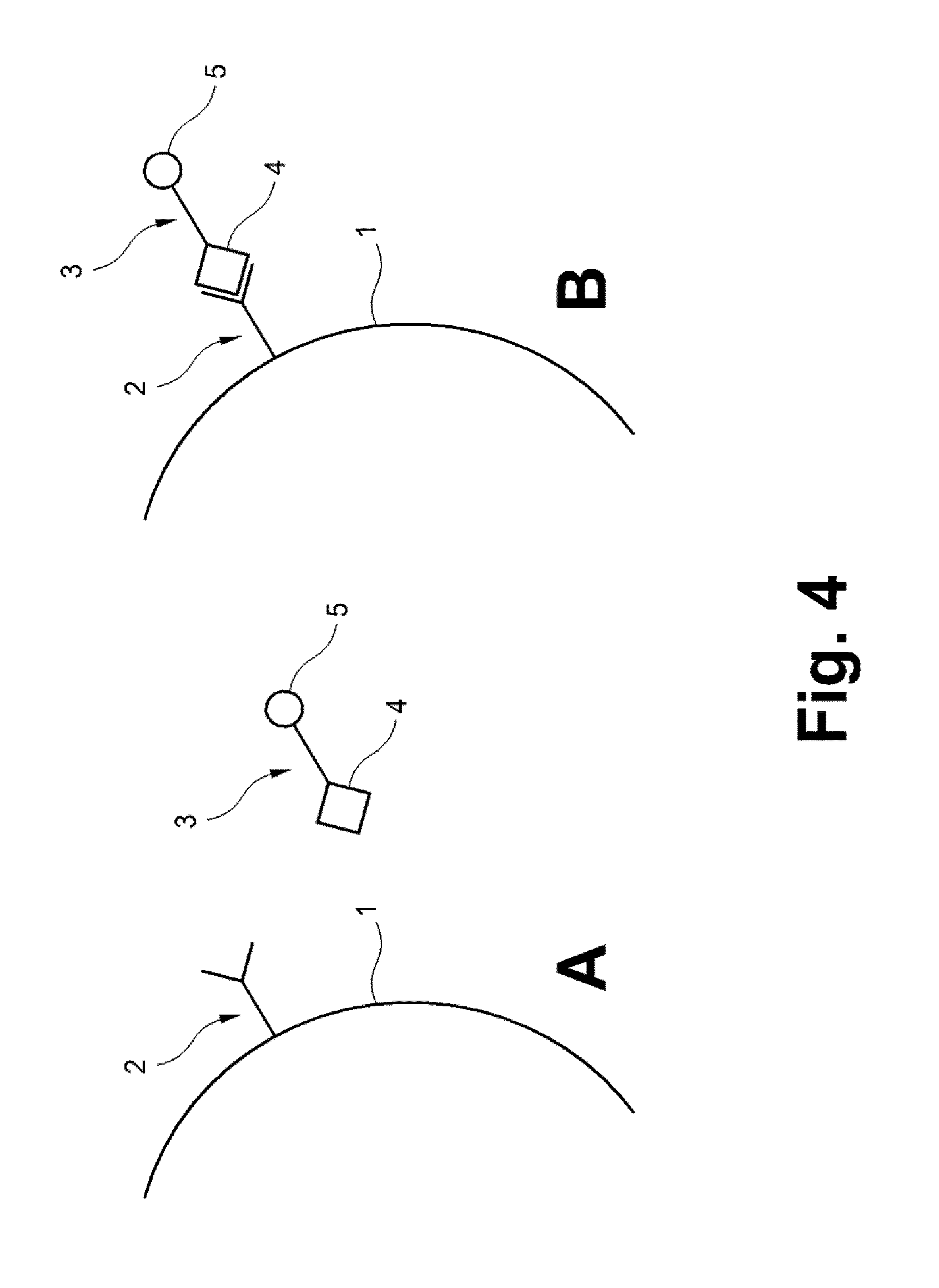 Method for investigating a sample using cars microscopy
