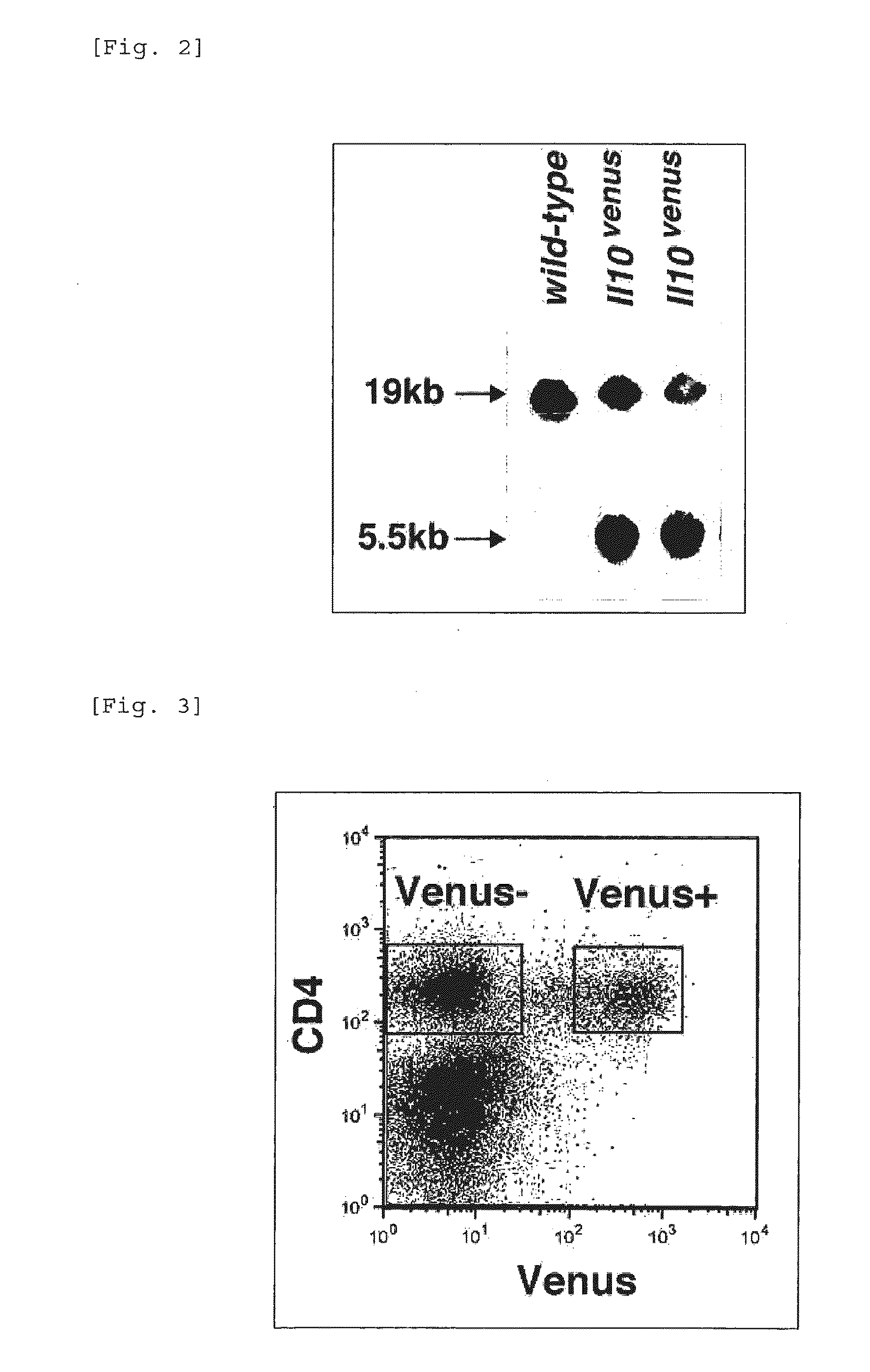 Composition for inducing proliferation or accumulation of regulatory t cells