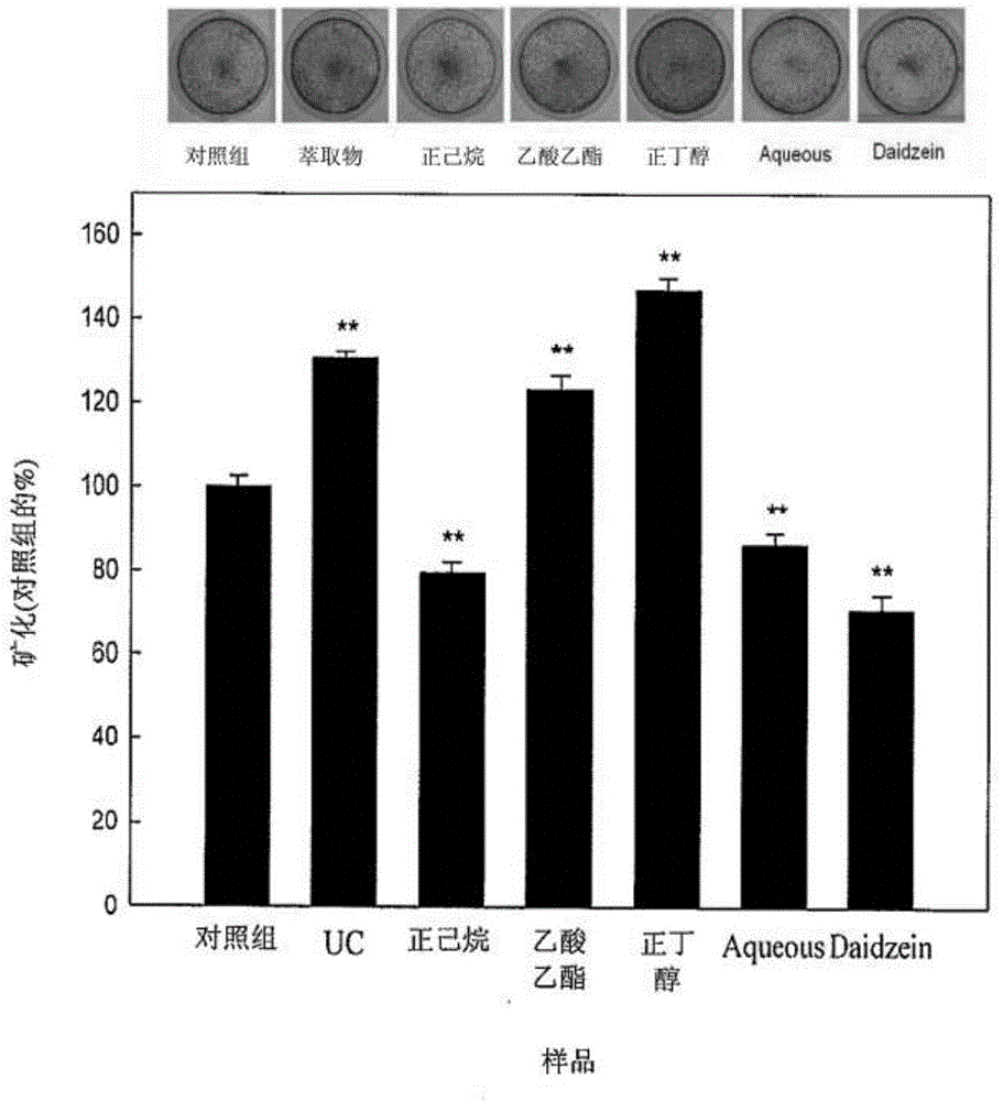 Application of uraria for promoting osteogenesis or providing neuro-protection