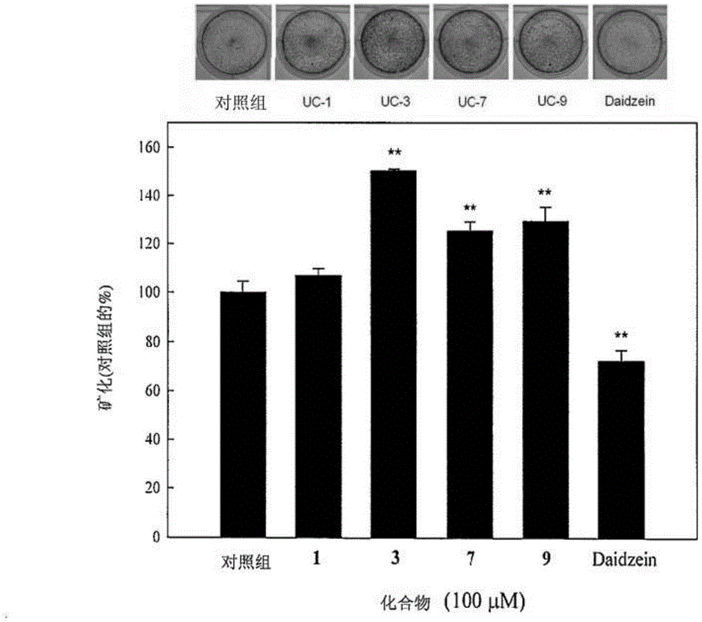 Application of uraria for promoting osteogenesis or providing neuro-protection