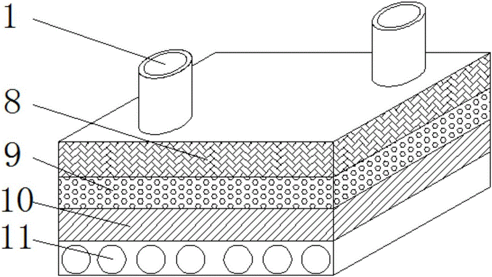 System for water-saving irrigation and salt discharge in saline-alkali land