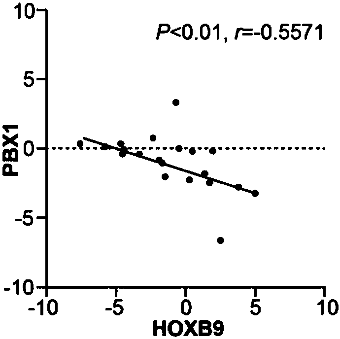 Gastric cancer detection kit and application using hoxb9 and pbx1 as biomarkers