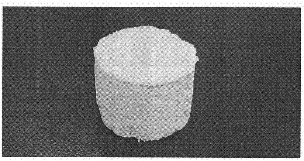 Preparation method for preparing nylon porous material on large scale