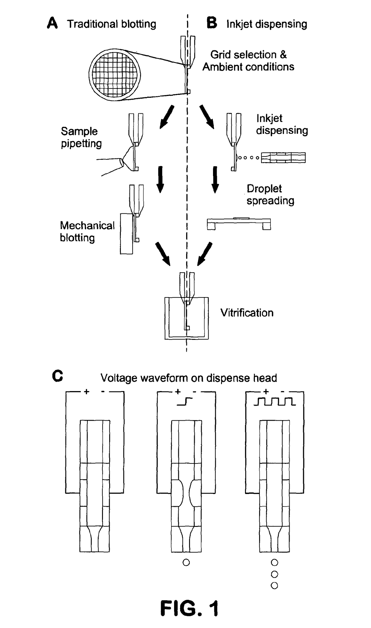 Apparatus and method for producing specimens for electron microscopy