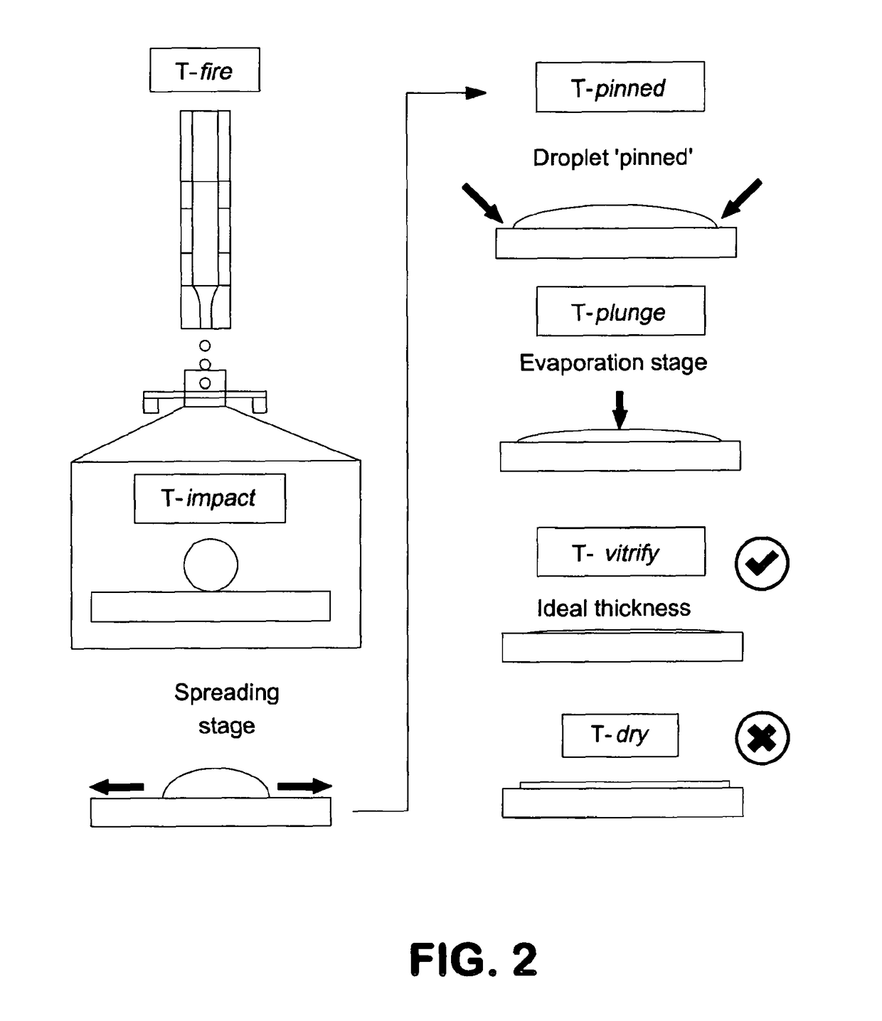 Apparatus and method for producing specimens for electron microscopy