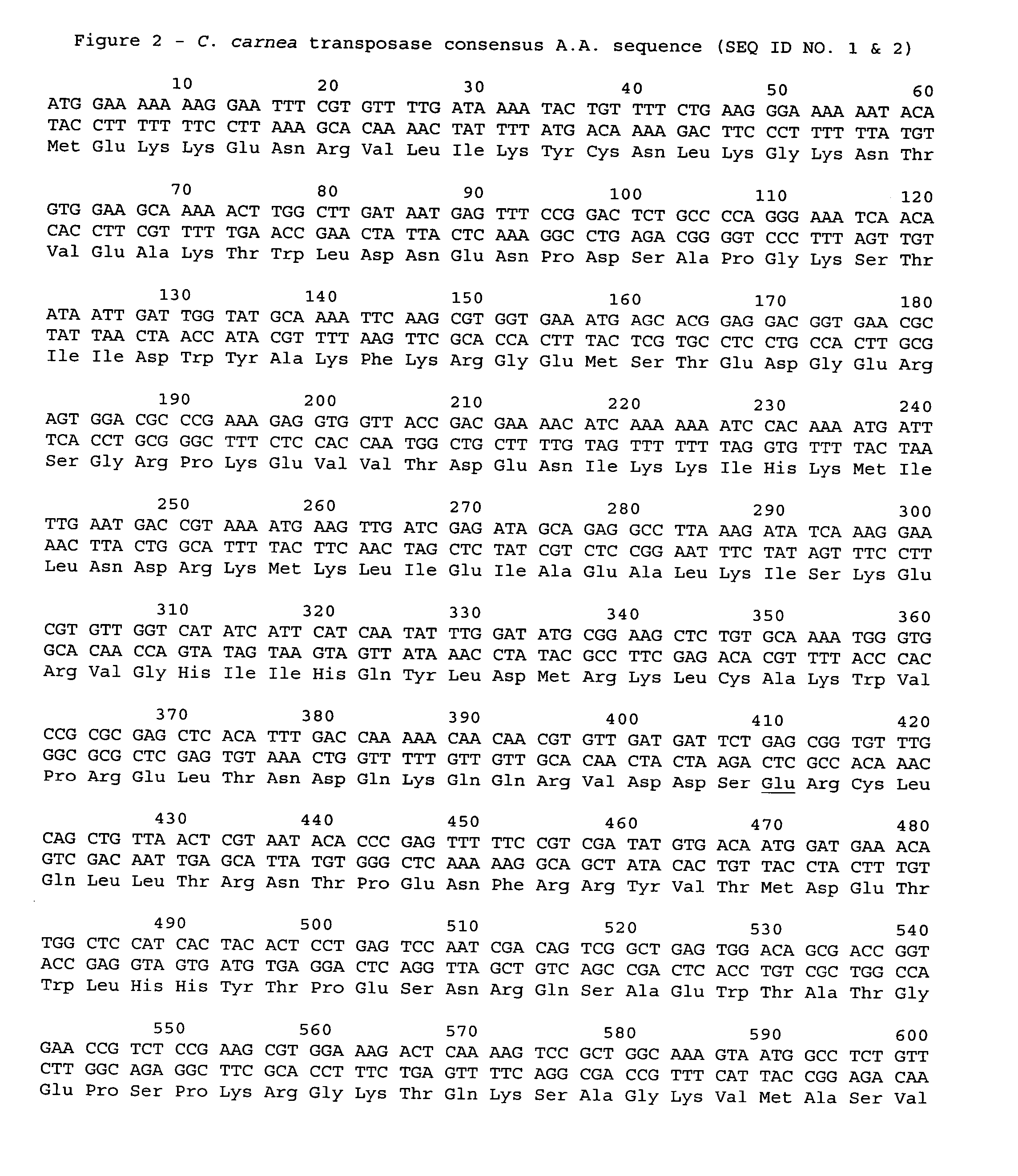 Transposon-based transformation system