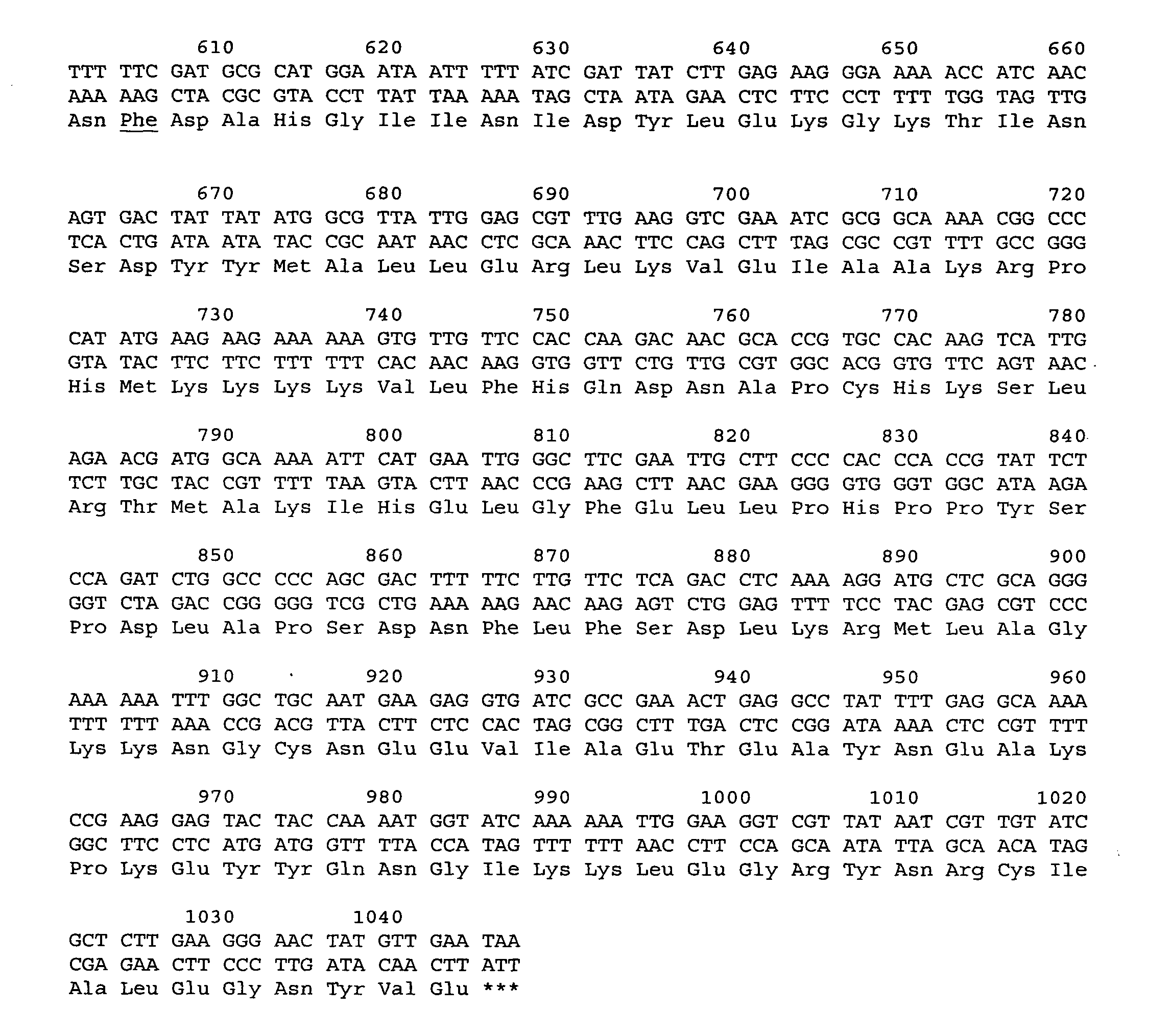 Transposon-based transformation system