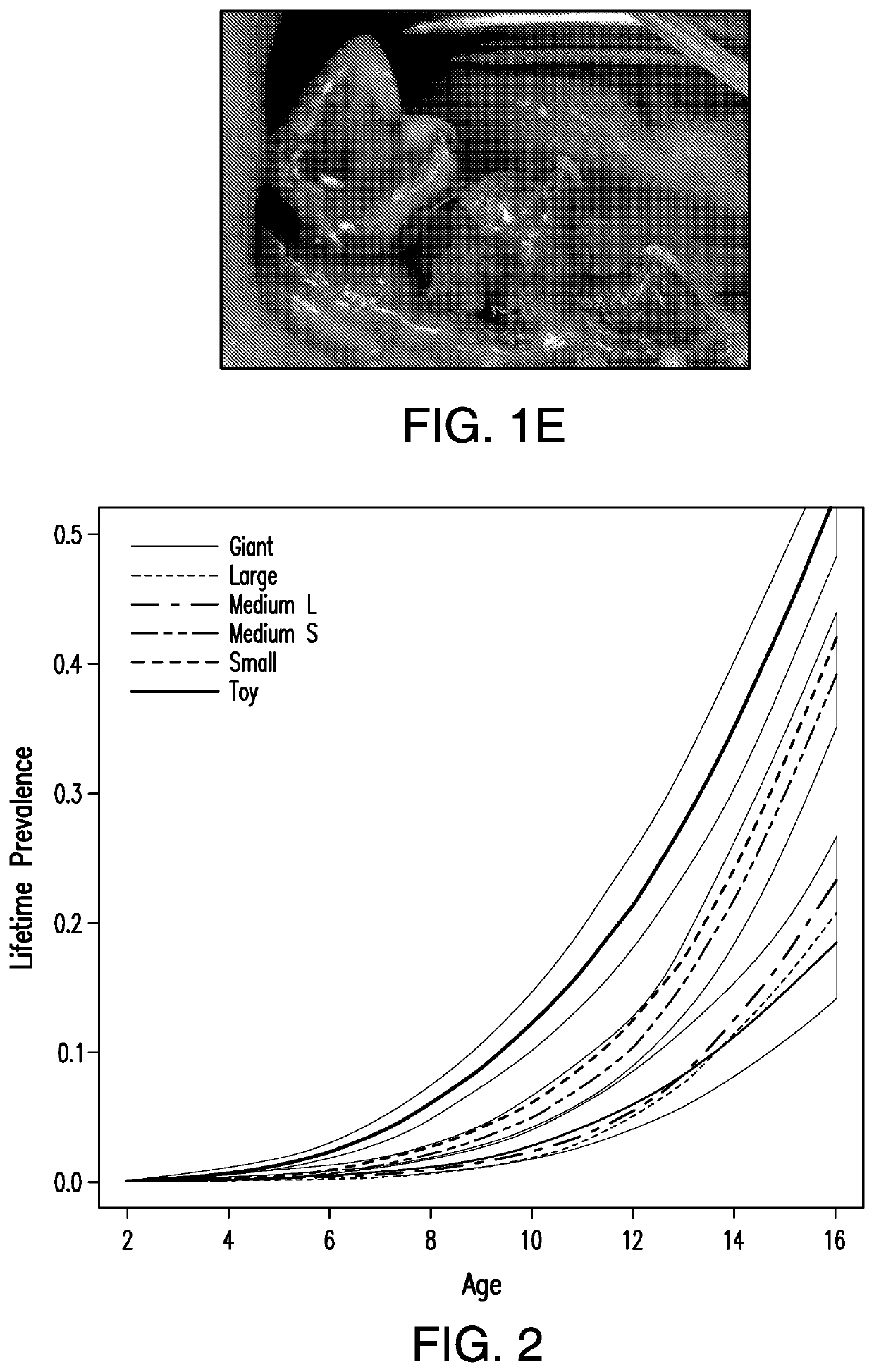 Method or system for diagnosing periodontal disease