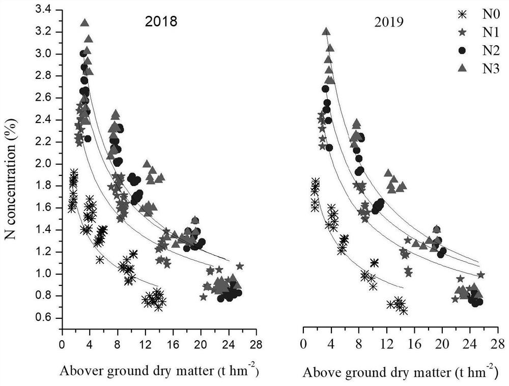 Wheat critical nitrogen concentration dilution curve model and application thereof