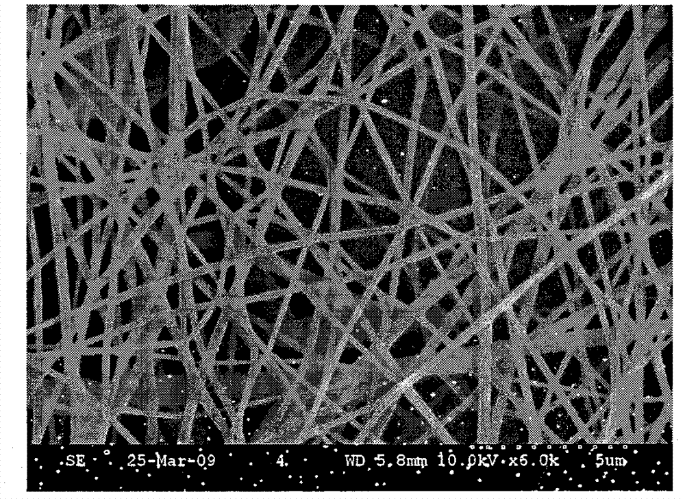 Three-dimensional large-aperture nanoscale fibrous scaffold and method for preparing same