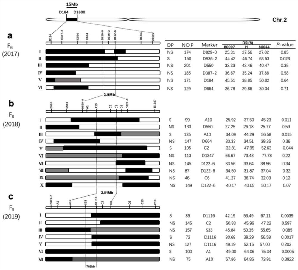 Linked Molecular Markers and Applications of Major QTLs for Resistance to Rough Dwarf Disease in Maize