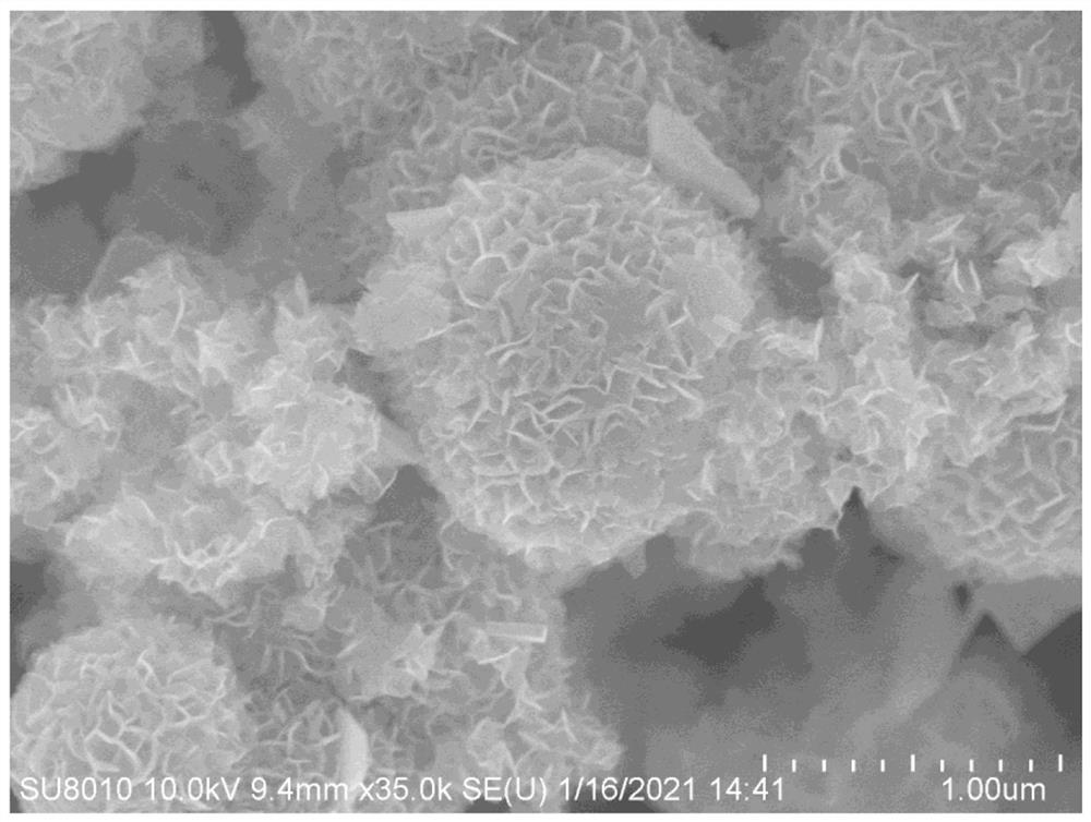 Molybdenum disulfide nanoflowers supported zinc oxide quantum dots and its application in ammonia synthesis electrocatalyst